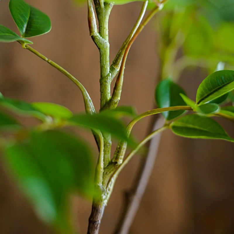 Lifelike Artificial Ficus Tree Branch