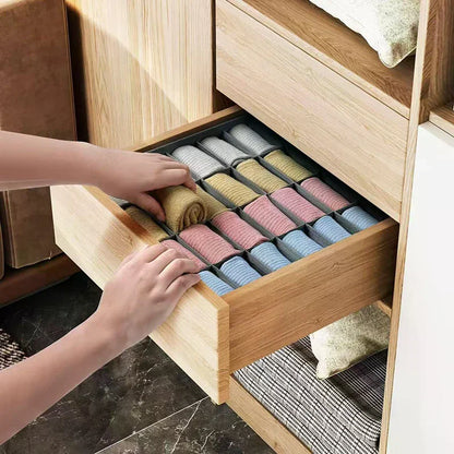 Underwear & Accessories Drawer Organizer